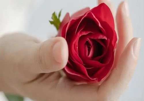 南京外遇調查取證：禁止結婚的親屬關系的計算方法